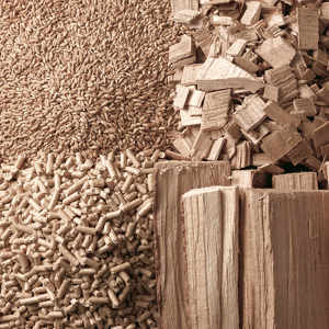 biomass.jpg
